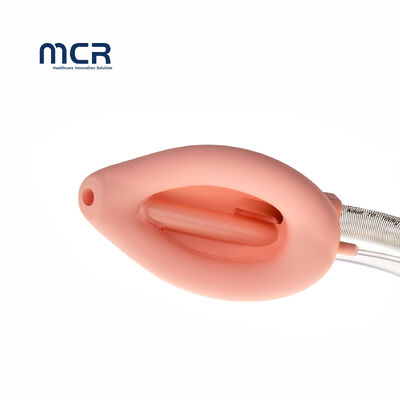 Good price Preformed Disposable Double Lumen Laryngeal Mask Airway Silicone Curved online