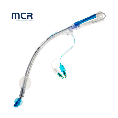 Dobra cena. Wydatki na badania i badania w Internecie